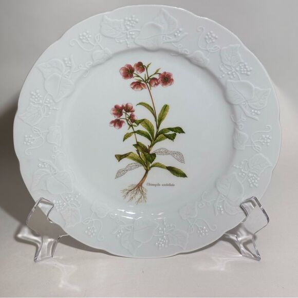 Vintage Dansk Ivy Chimapila Umbellata  9 3/4 " Luncheon Plate - Picture 4 of 5